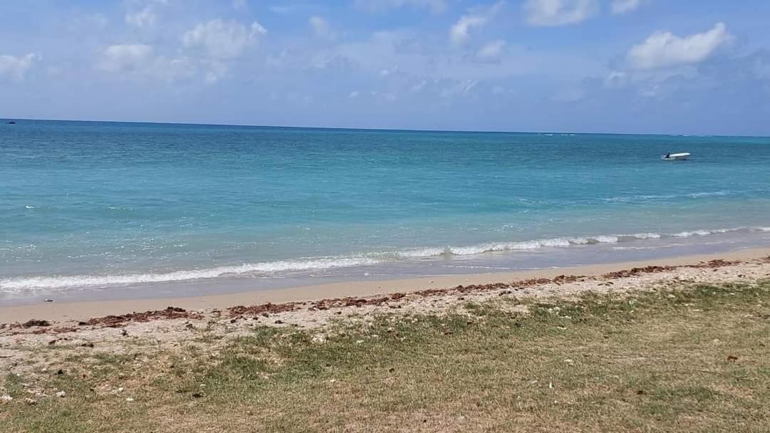 Ohana Guest House Port Mathurin Luaran gambar